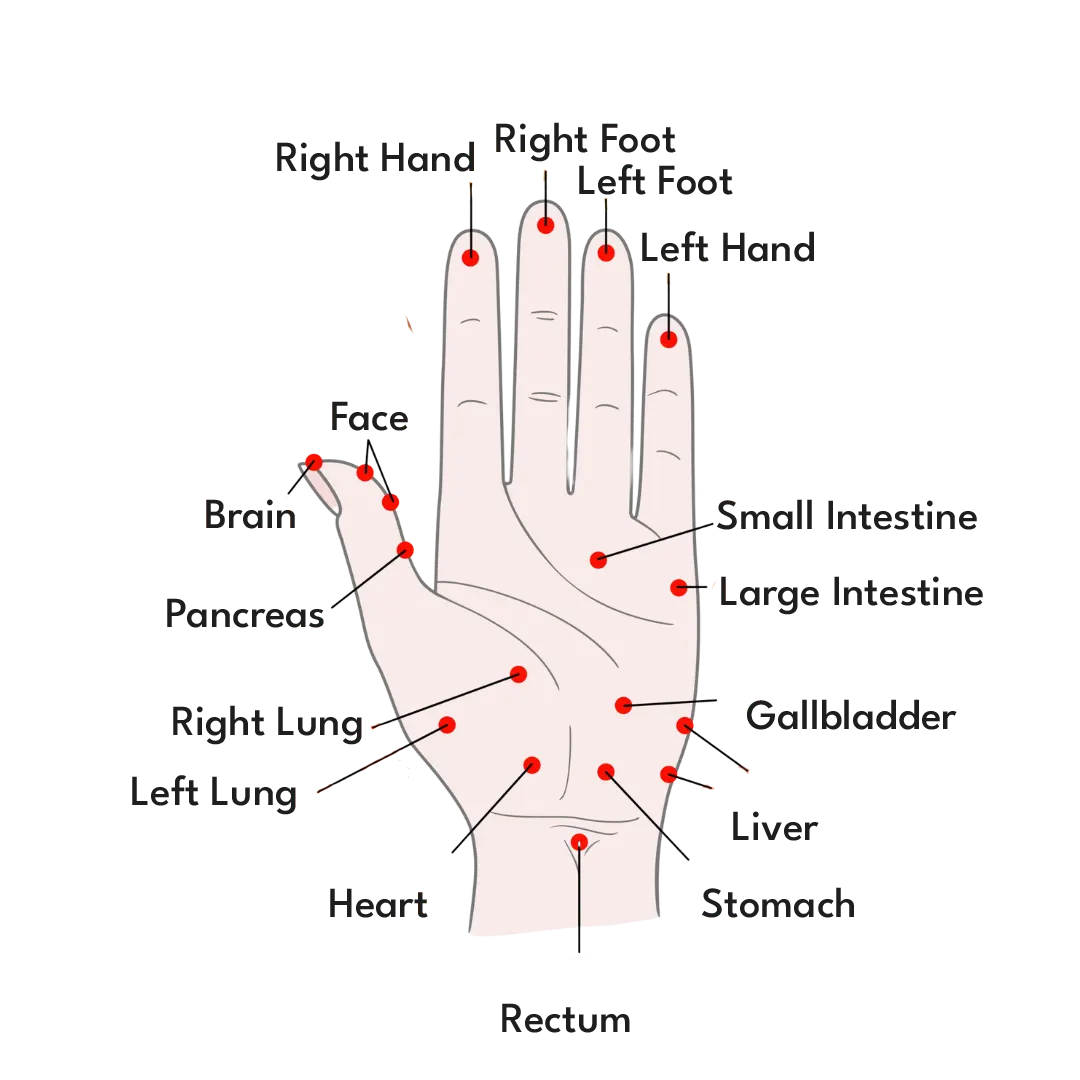 hand aqupressure points